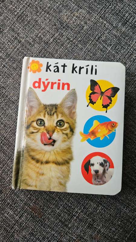 Kàt kríli bòk