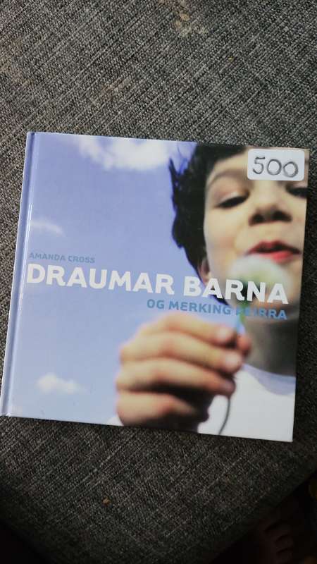 Draumar barna bók