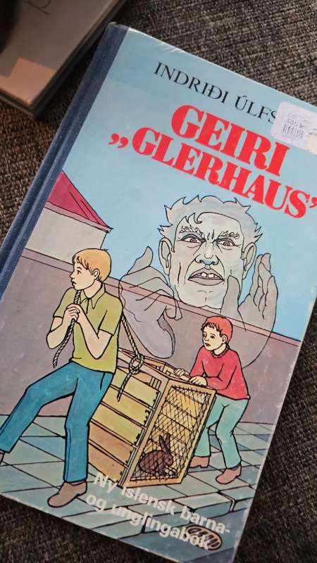 Bók Geiri G