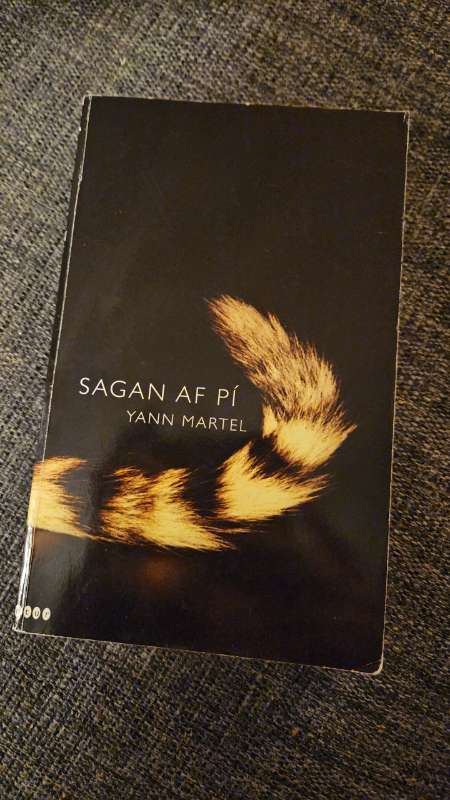 Sagan af pí bók