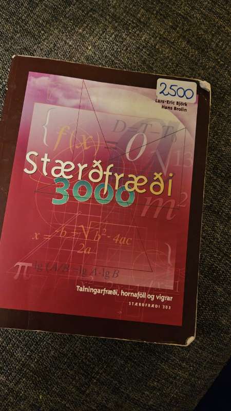 Stærðfræði 3000