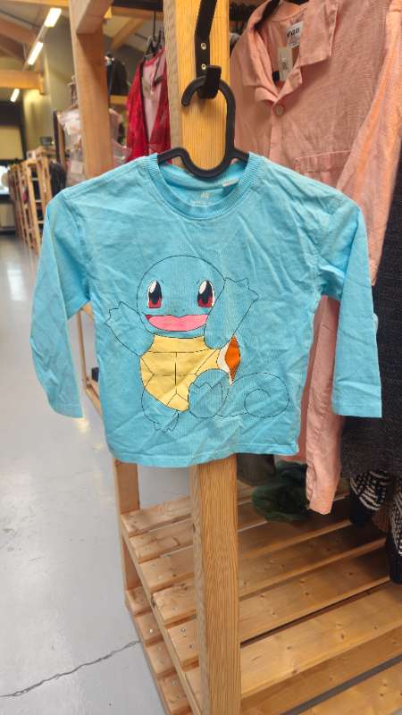 Turtle langerma