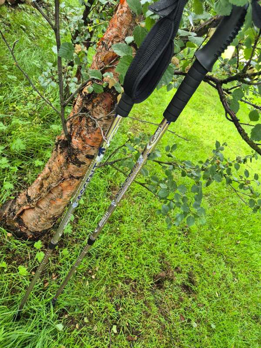Göngustafir
