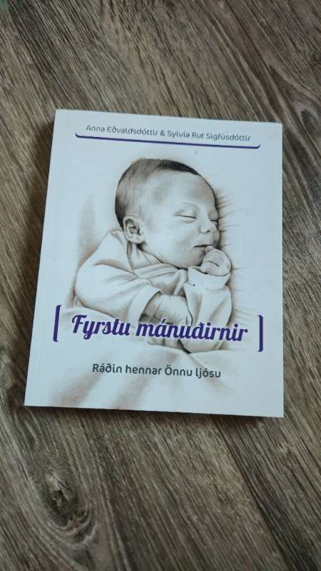 Fyrstu mánuðirnir bók
