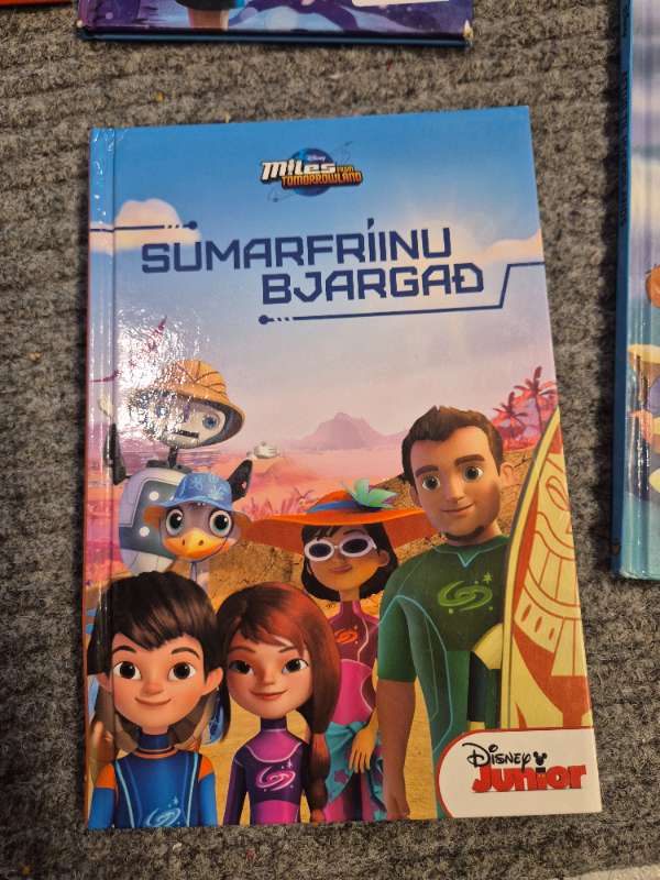 Sumarfríinu bjargað bók