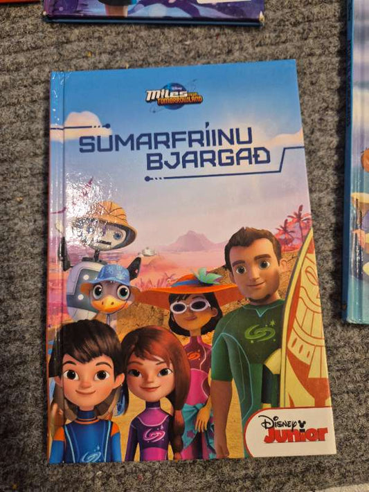 Sumarfríinu bjargað bók