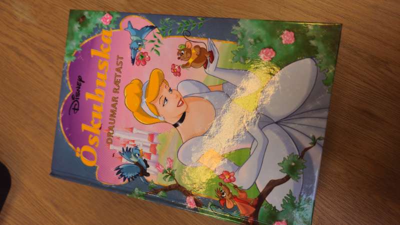Disney bók öskubuska draumar rætast