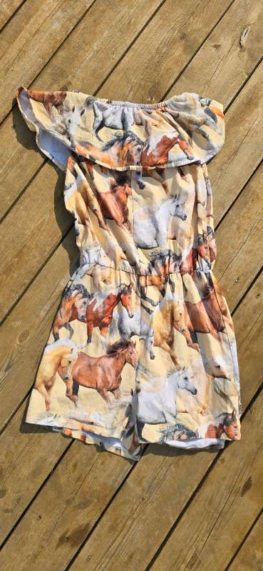 Molo samfestingur hesta