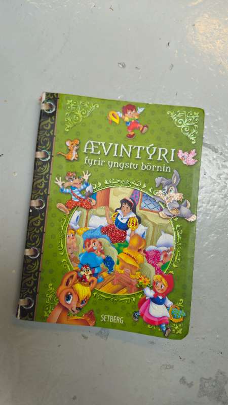 Ævintýri fyriryngstubörnin bók