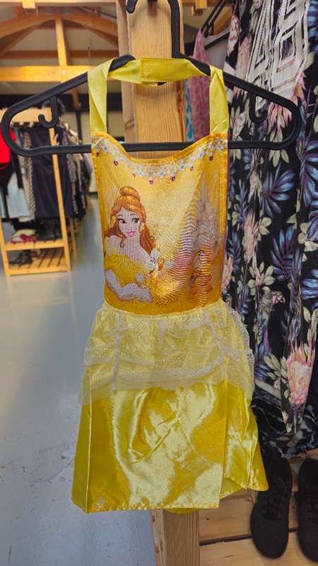 Fríða svunta prinsessa