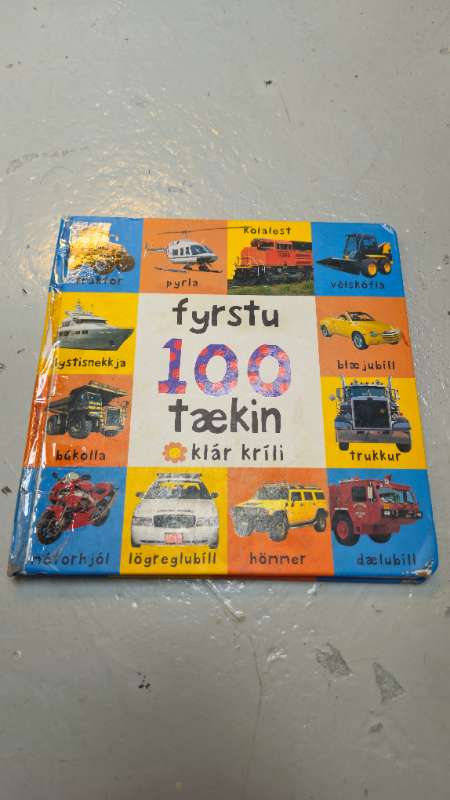 Fyrstu 100 tækin bók
