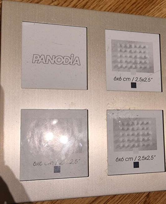 Panodia myndarammi (K)