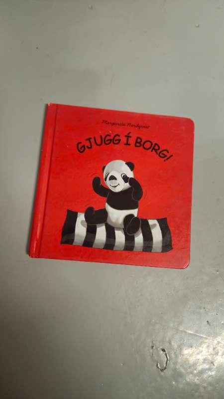 Gjugg í Borg bók