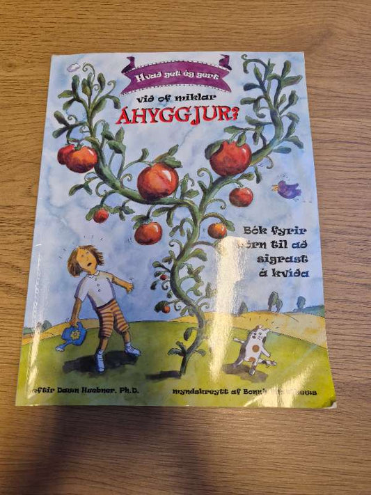 Stórar áhyggjur bók