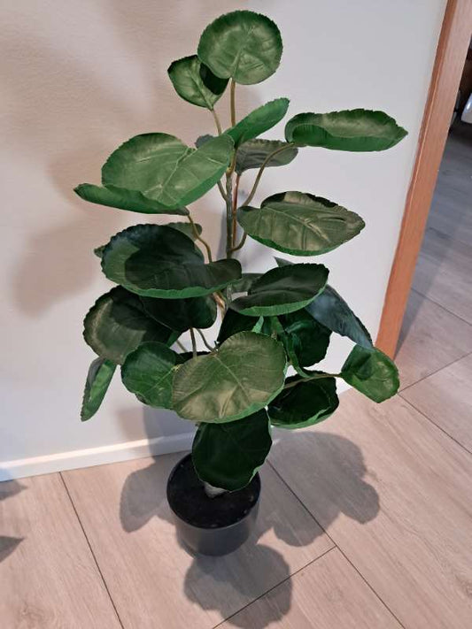 Gerviplanta