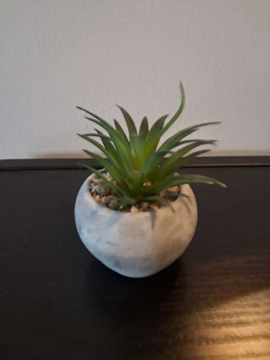 Gerviplanta