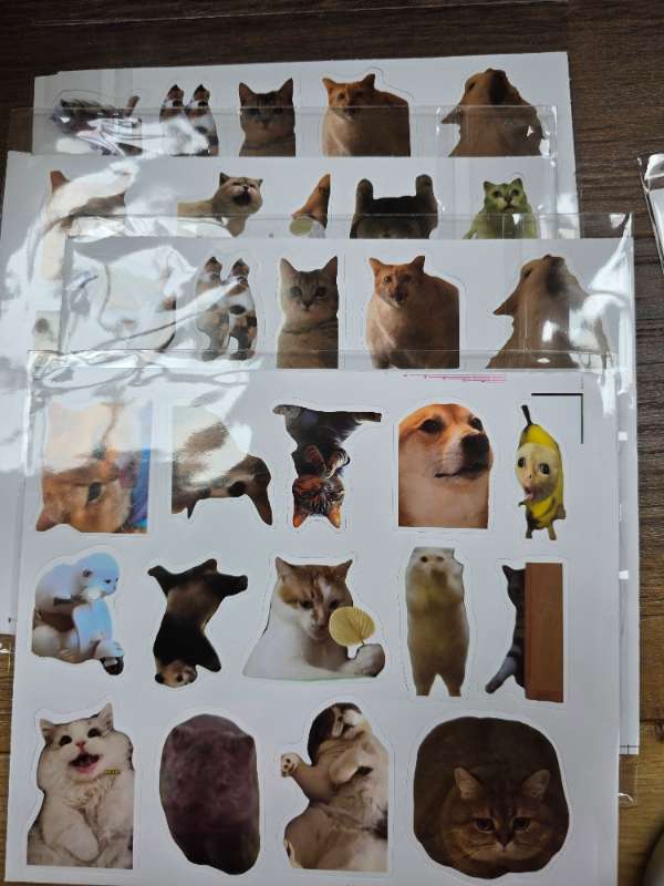 Katta og hund límmiðar 2 arkir saman