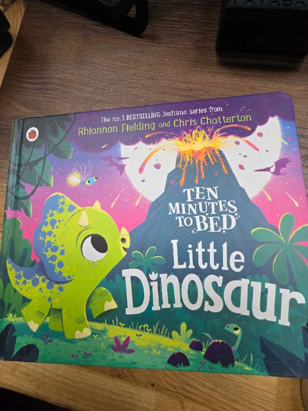 Bók little dinosaur