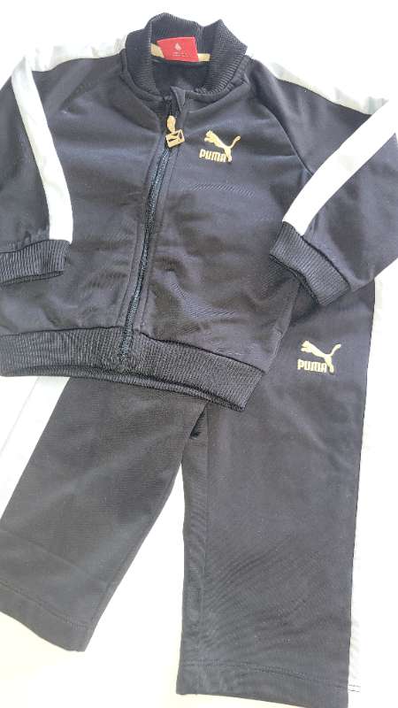Puma galli