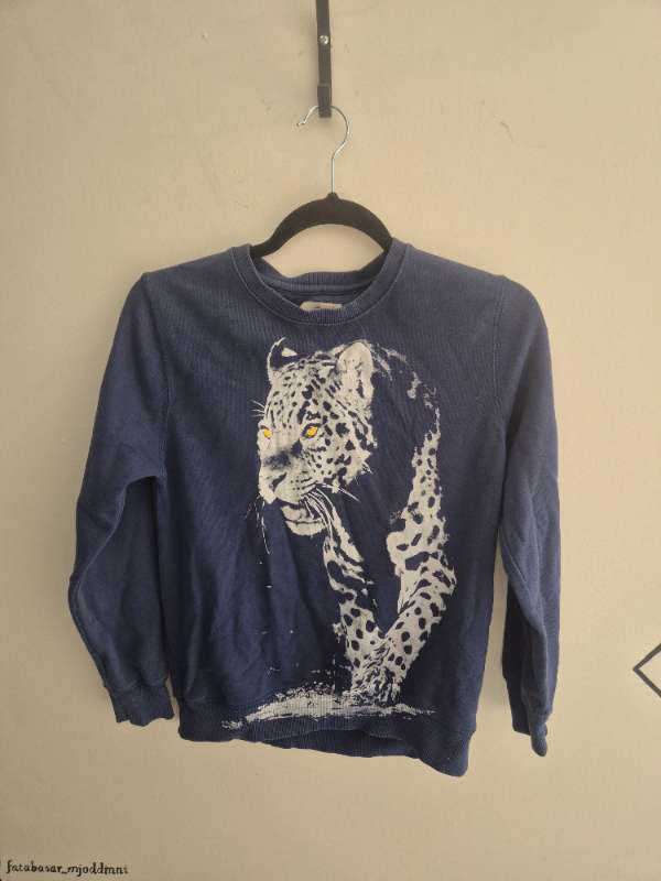 Zara peysa, tiger 11-12 ára