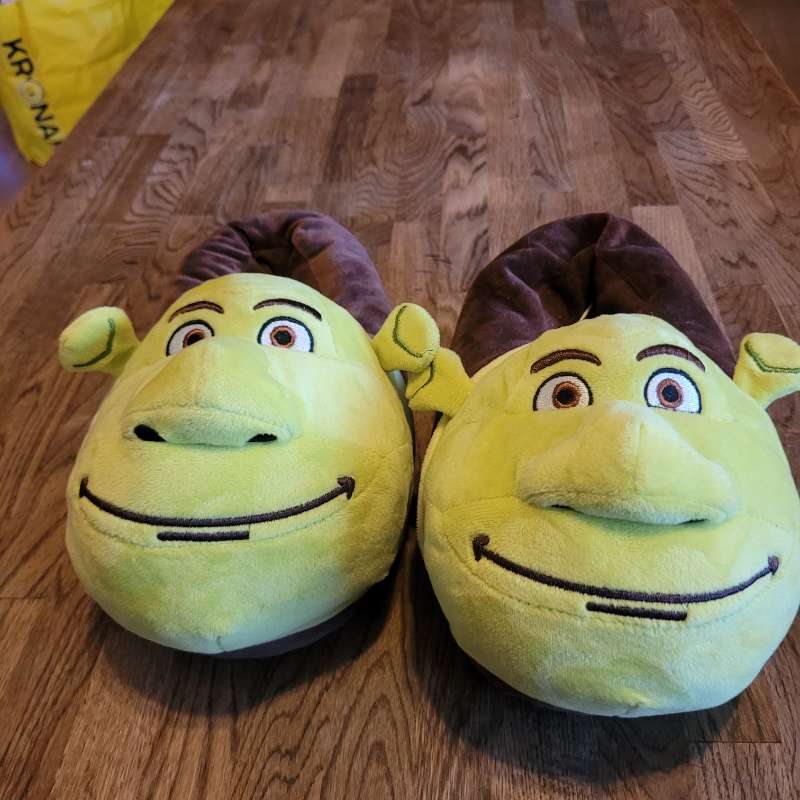 Shrek inniskór