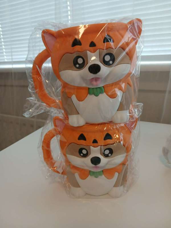 Íshaldari corgi