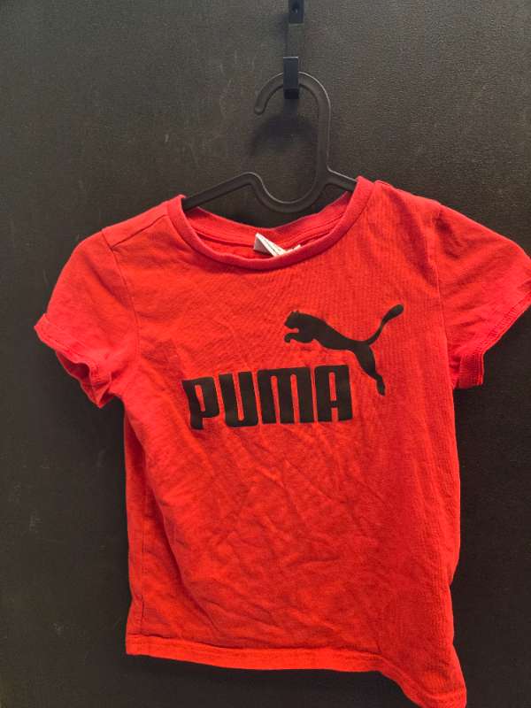 Puma bolur