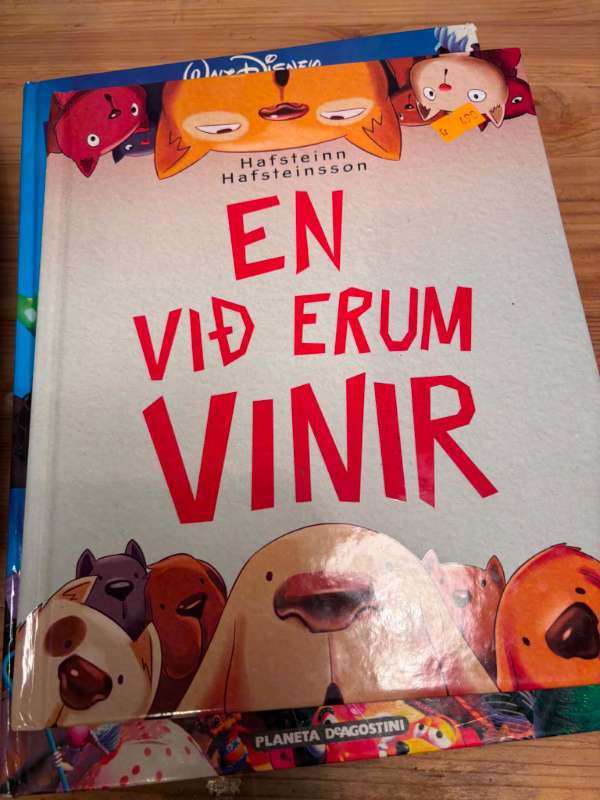 Bók - En við erum vinir