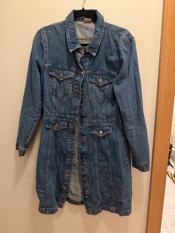 Jean dress