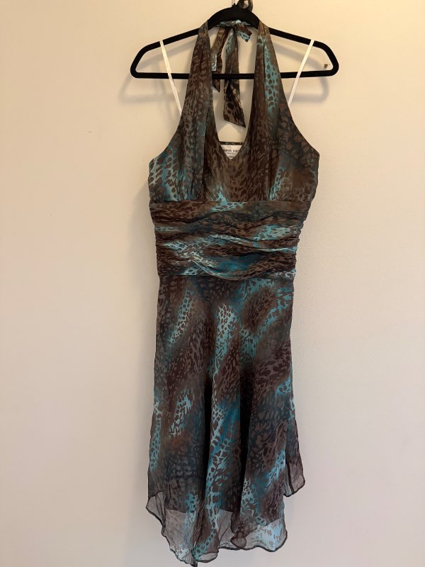 Donna Ricco silk dress
