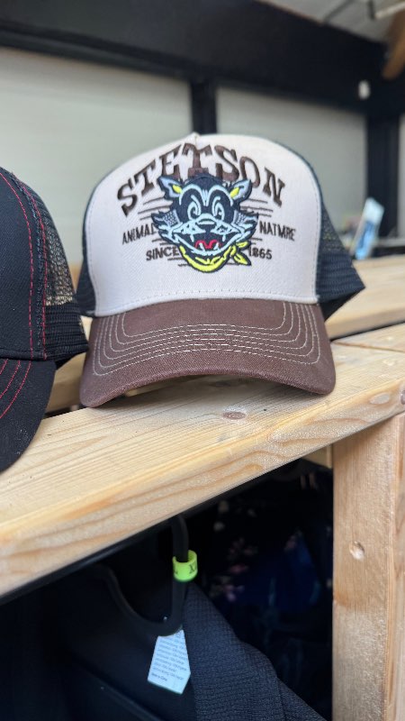 Stetson derhúfa brún