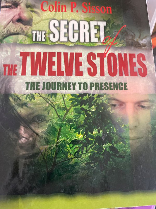 Twelve stones bók