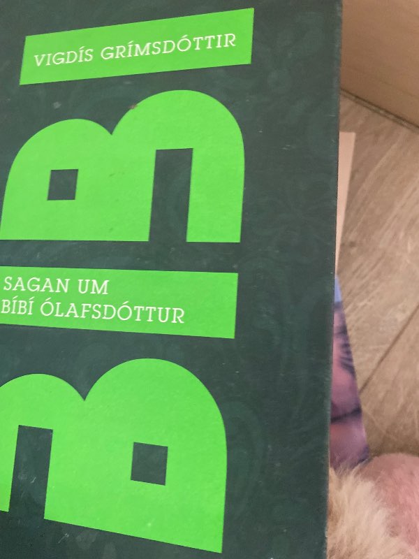 Bíbí bók