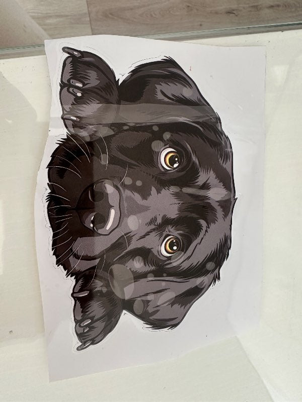 Svartur labrador límmiði vatsheldur á bíl