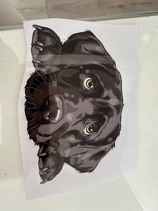 Svartur labrador límmiði vatsheldur á bíl