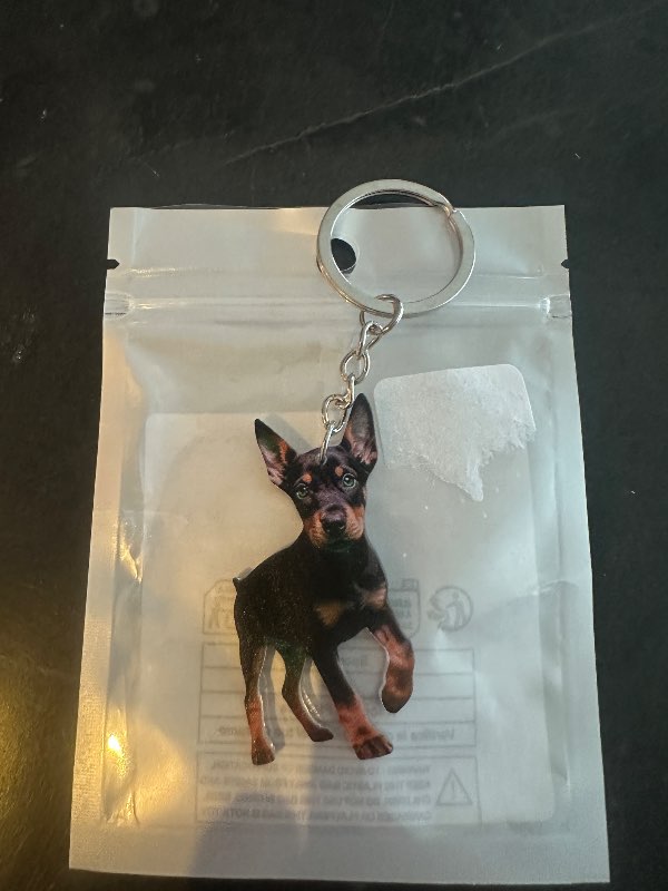 Miniature pinscher lyklakippa