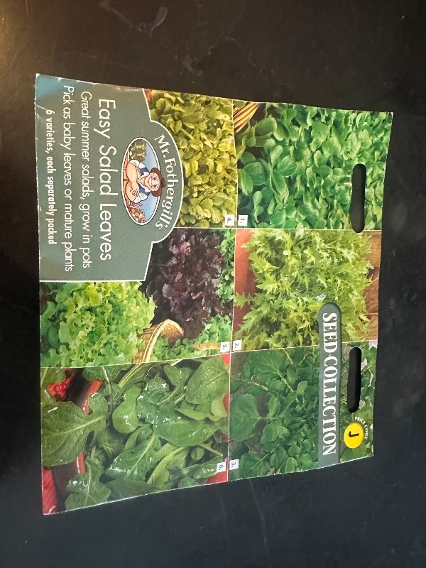 6 tegundir af káli fræ
