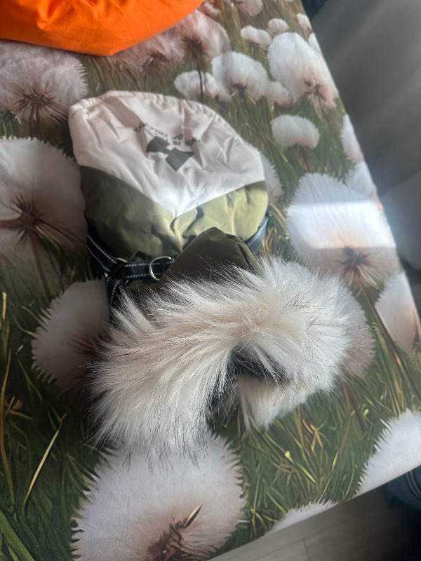 Hunda úlpa með beisli og loði XL