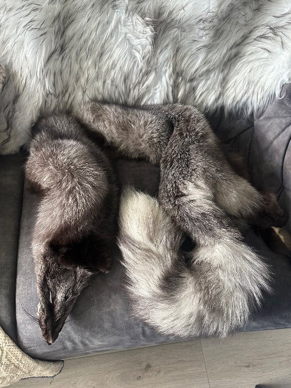 ónotað refaskinn ekta