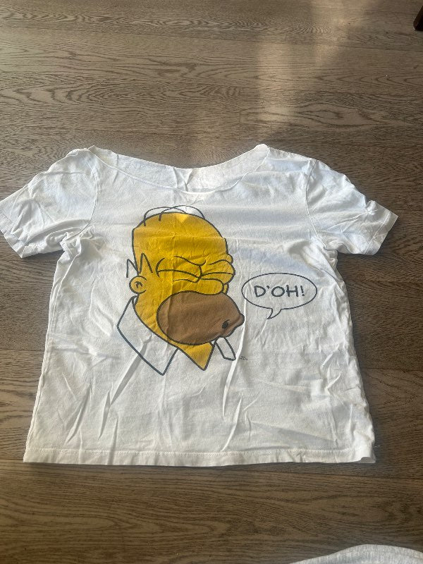 homer simpsons bolur