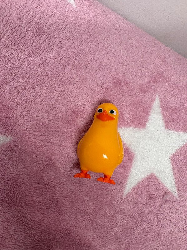Páskafugl lítill