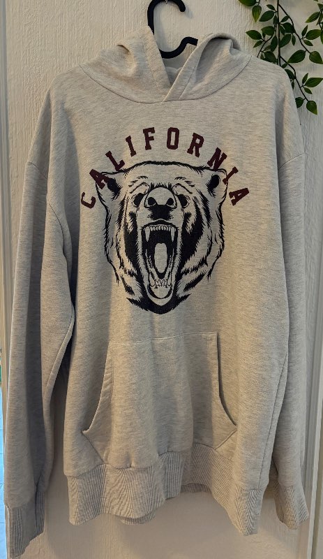 Primark grá california hettupeysa