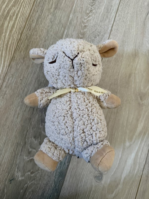 Sleepy Sheep