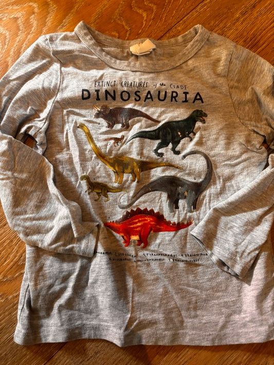 Dinosaur bolur