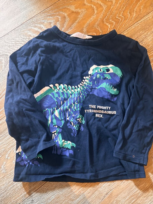 Dinosour bolur
