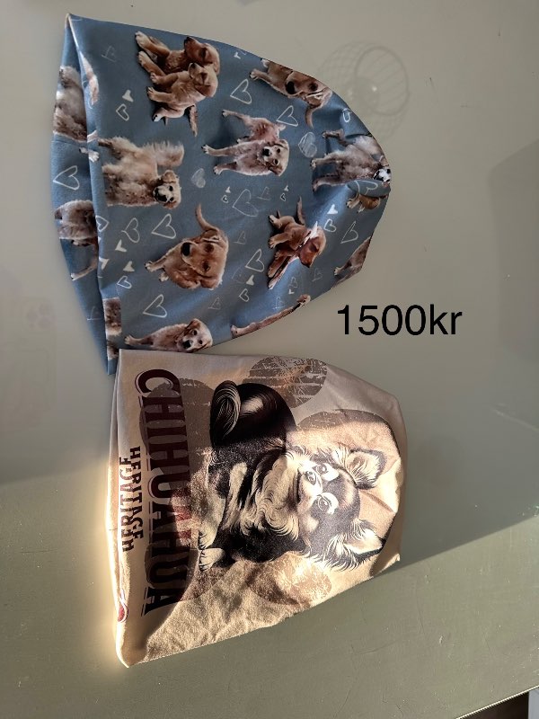 Chihuahua húfa ný fullorðins