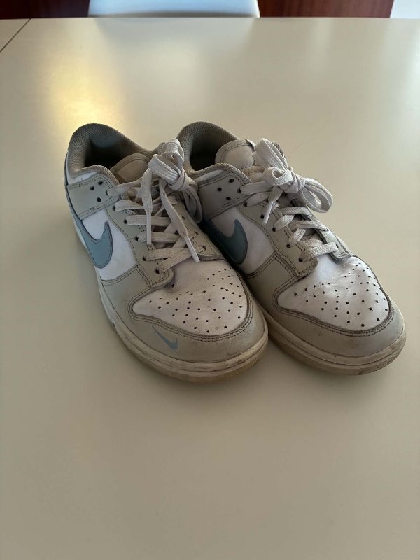 Nike dunks