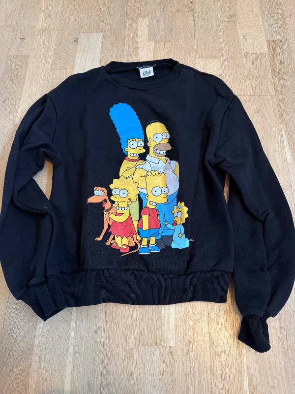 Peysa Zara Simpsons