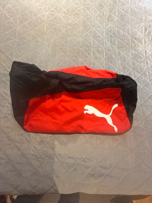 Puma taska