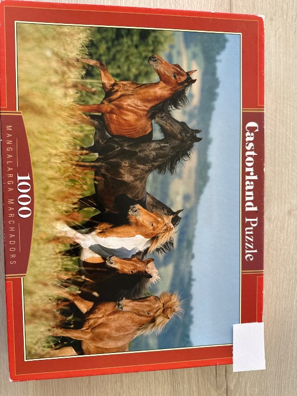 Puzzle Hestar 1000